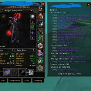 Chromiecraft Night Elf hunret for sale geared