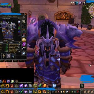 Level 70 chromiectaft tauren shaman + druid
